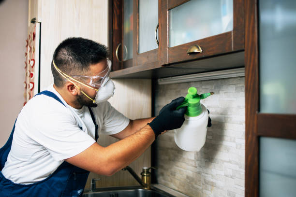  Greenup, KY Pest Control Pros